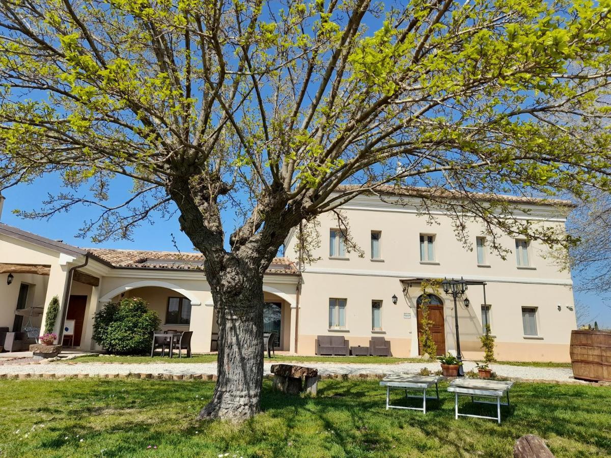 Villa Marietta Country House - Marche Montemaggiore al Metauro Luaran gambar