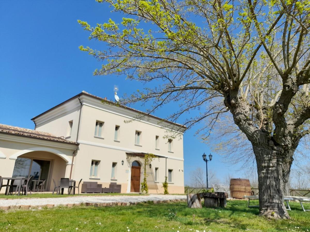 Villa Marietta Country House - Marche Montemaggiore al Metauro Luaran gambar