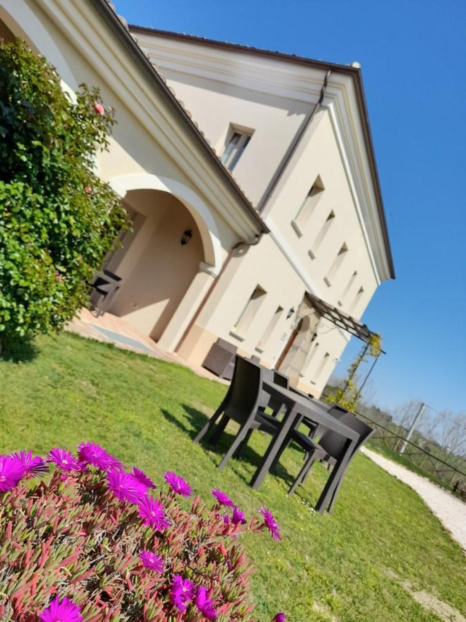 Villa Marietta Country House - Marche Montemaggiore al Metauro Luaran gambar