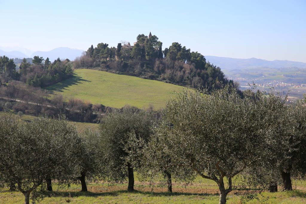 Villa Marietta Country House - Marche Montemaggiore al Metauro Luaran gambar