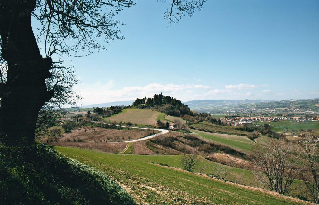 Villa Marietta Country House - Marche Montemaggiore al Metauro Luaran gambar